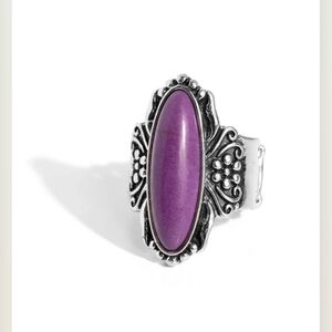 Paparazzi Purple Silver Ornate Ring Dreamy Desertscape Stone Fashion Jewelry